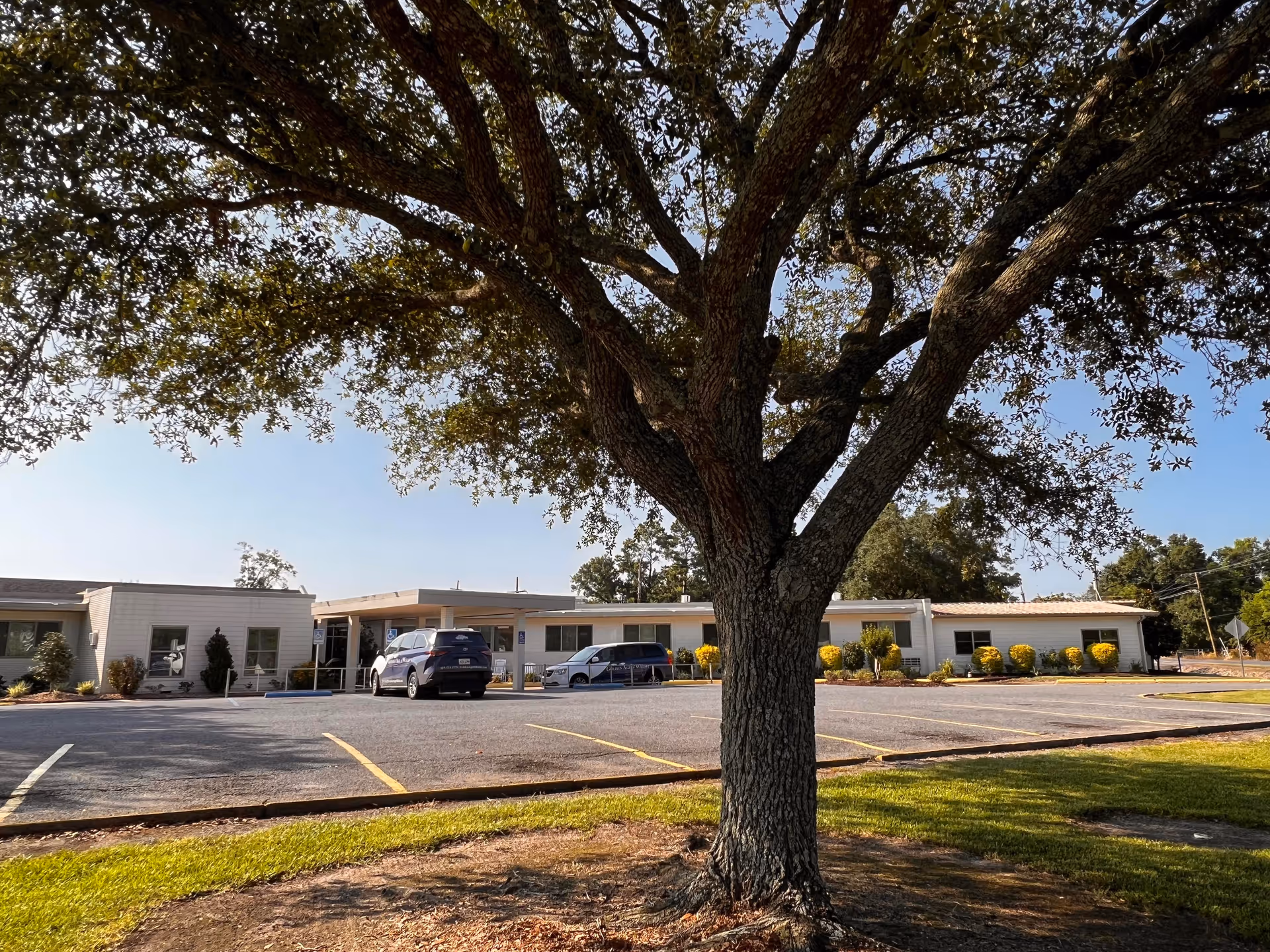 View of a single-story building with a parking lot in front, partially shaded by a large tree in the foreground. The building has a flat roof and is surrounded by small bushes and greenery under a clear blue sky.