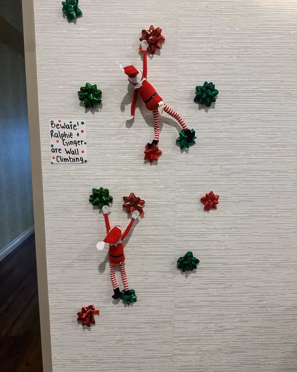 Two elf dolls arranged as if climbing a wall decorated with red and green gift bows and a small handwritten sign warning 'Beware! Ralphie + Ginger are Wall Climbing'.
