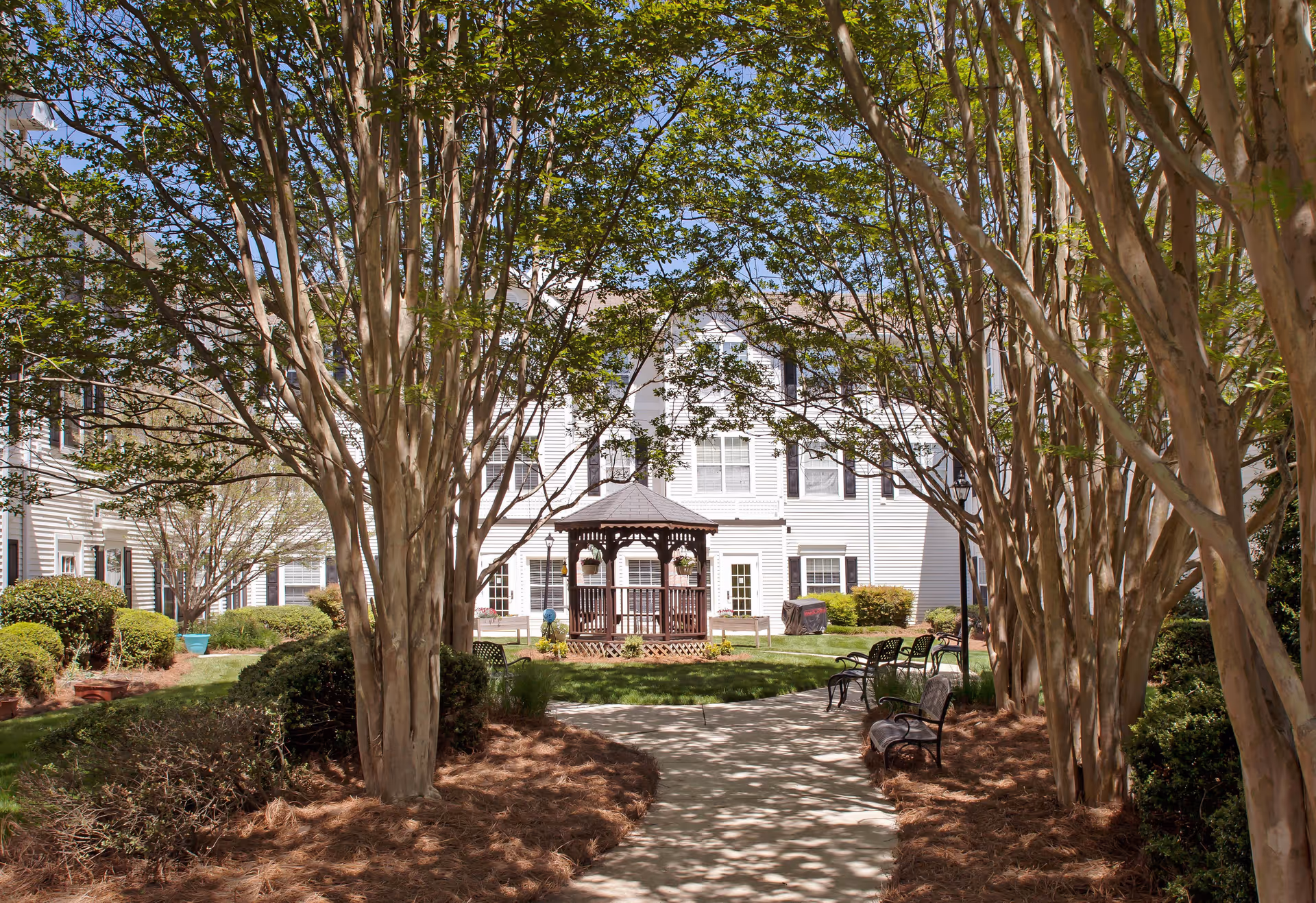 Courtyard with a wooden gazebo, benches and a walkway framed by trees in front of a white multi-story building.