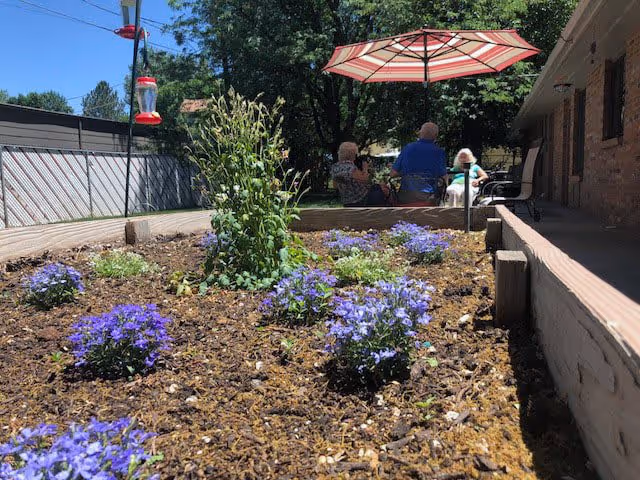 A garden bed with small purple flowers and a taller green plant in the center, with a wooden border. In the background, three people are seated under a red and white striped patio umbrella near a brick building, with trees and a clear blue sky visible.