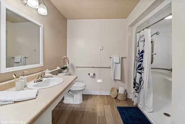 Accessible bathroom with a vanity and mirror on the left, toilet with grab bars in the center, and a shower with a patterned curtain on the right.