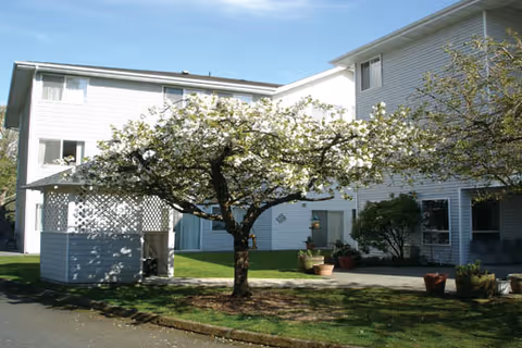 Outdoor view of a senior living facility with white multi-story buildings surrounding a courtyard. A tree with white blossoms stands in the center of a grassy area, and there are potted plants near the building entrances.