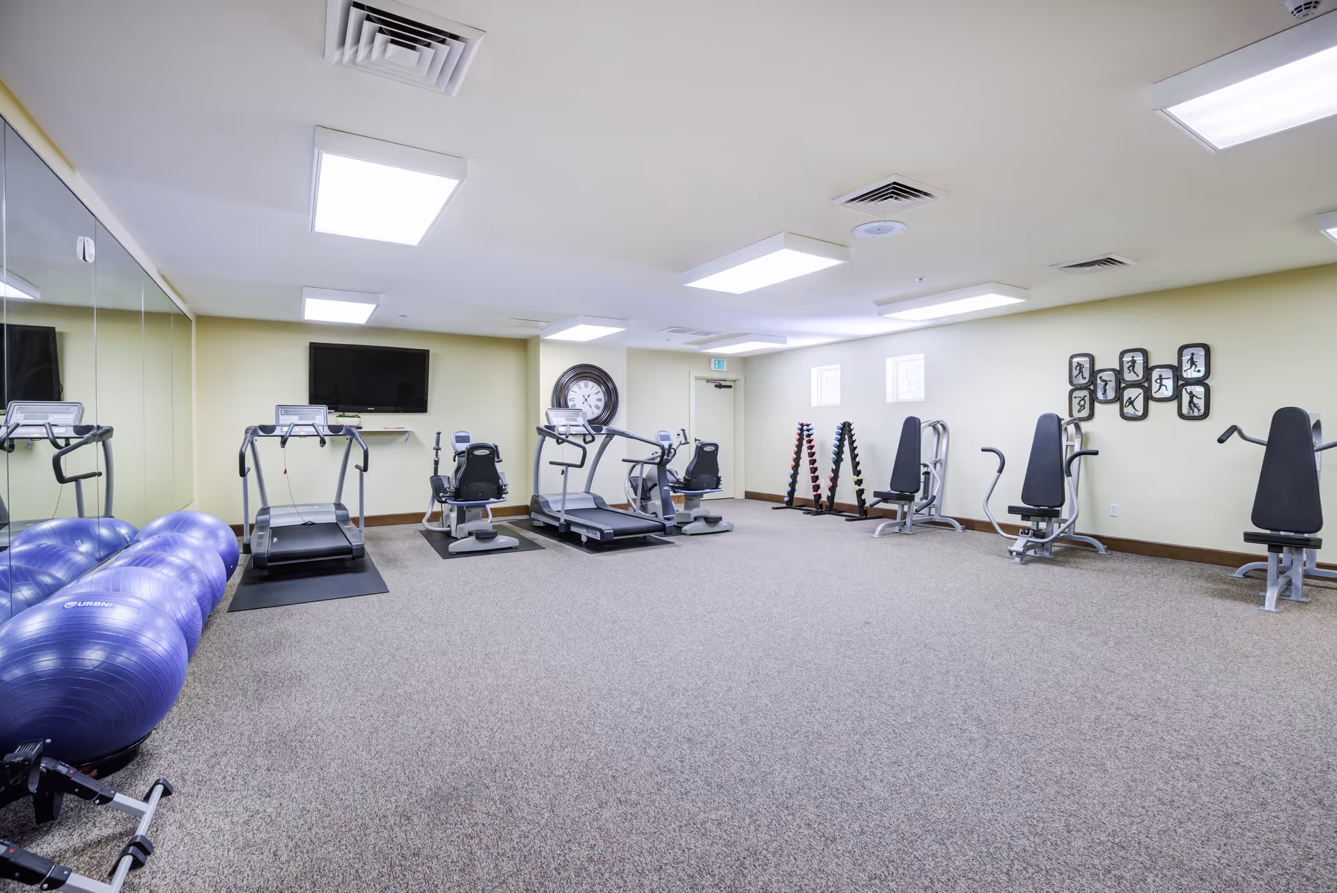 Well-lit indoor fitness room with treadmills, exercise machines, stability balls and a wall-mounted TV.
