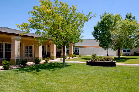 A sunny outdoor area at a senior living facility with green grass, trees, and a building with beige walls and multiple windows and doors. There is a paved walkway and a raised flower bed in the grassy area.