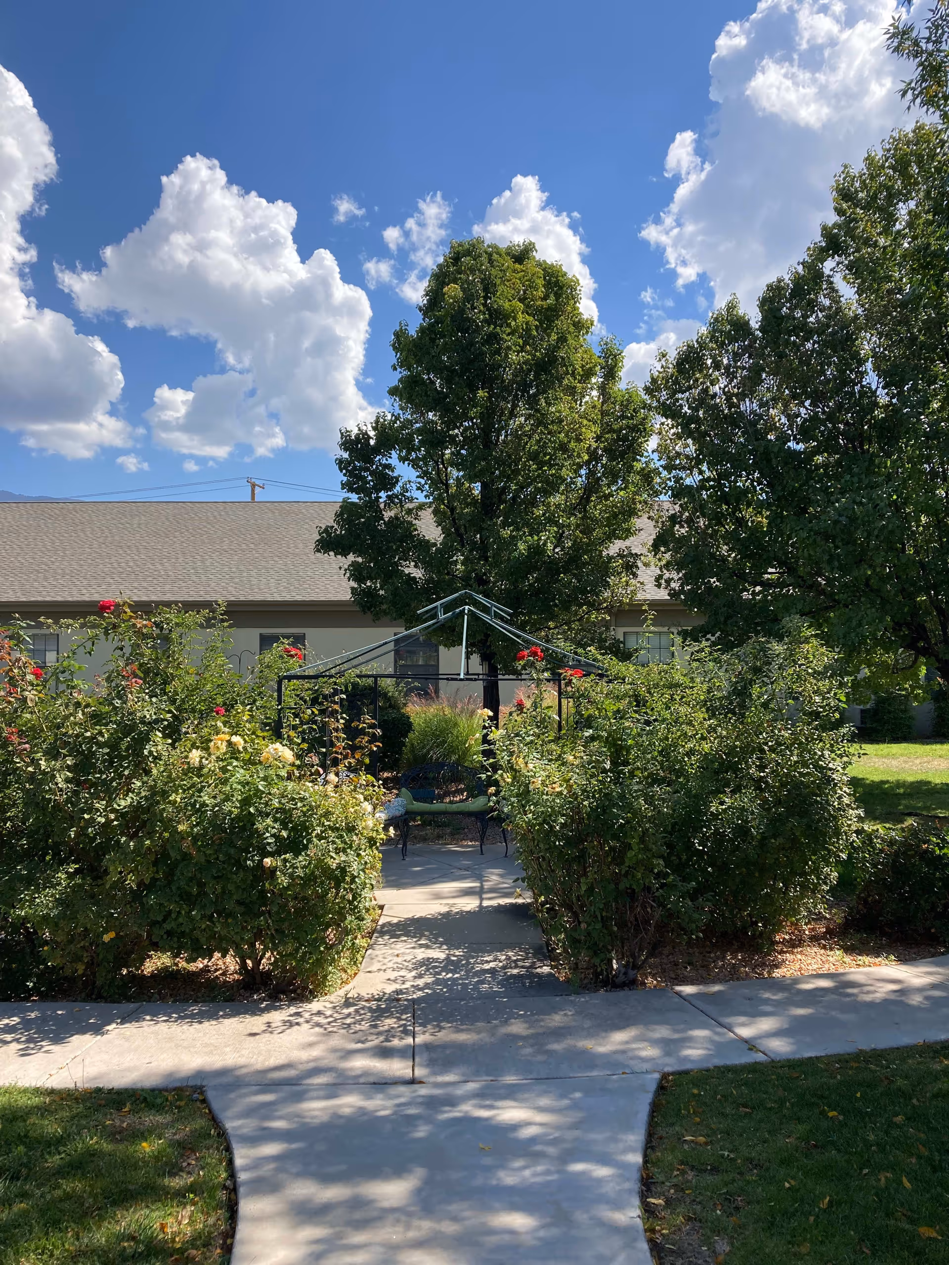 A garden area with a concrete pathway leading to a metal gazebo surrounded by green bushes and blooming flowers. There are large trees and a building with a gray roof in the background under a blue sky with scattered white clouds.