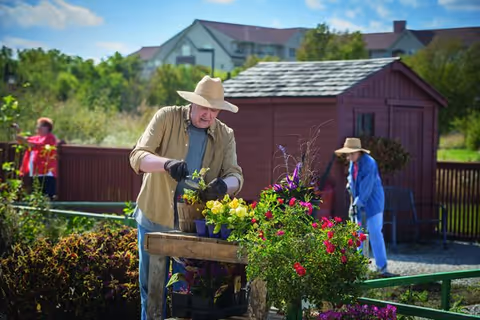 An elderly man wearing a wide-brimmed hat and gloves is gardening, arranging potted plants on a wooden table outdoors. In the background, an elderly woman wearing a hat and blue jacket is also gardening near a small red shed, with residential buildings visible further behind them under a partly cloudy sky.