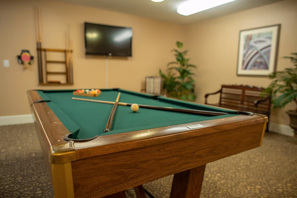 A pool table with cues and balls set up in a room with beige walls, a wall-mounted TV, a wooden bench, framed artwork, and potted plants.