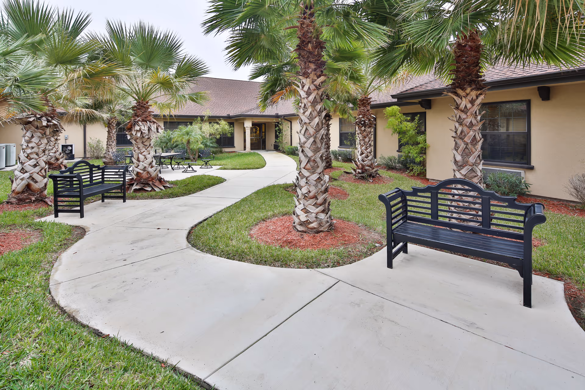 Courtyard with palm trees, a winding concrete pathway and black benches in front of a single-story building.