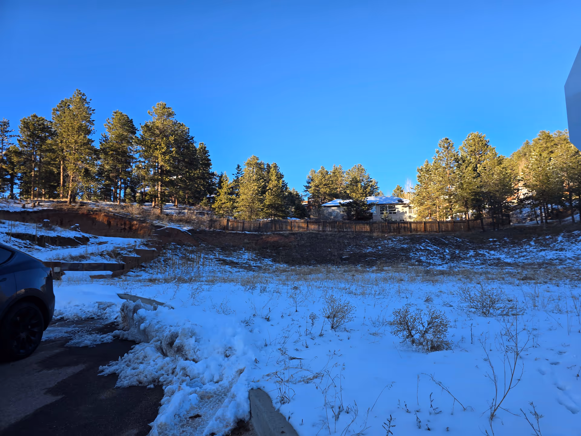 Snow-covered ground with sparse dry vegetation in the foreground, a partially visible black car on the left, and a wooded area with tall pine trees and a wooden fence in the background under a clear blue sky.