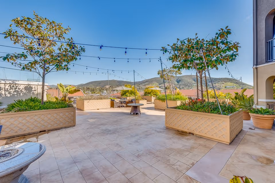 Outdoor patio area with large planter boxes containing trees and plants, string lights hanging overhead, and a clear view of distant hills under a bright blue sky.