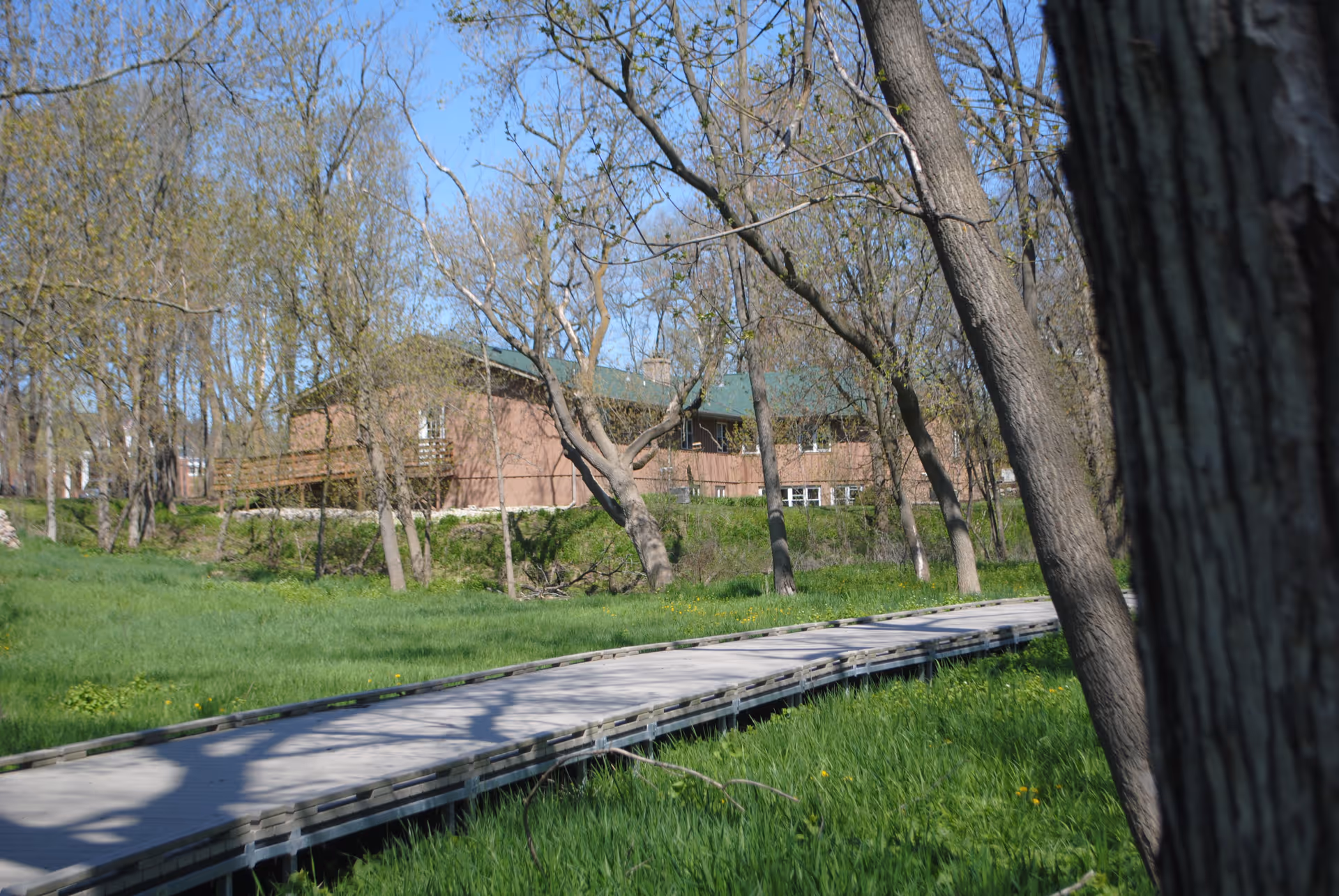 A wooden boardwalk winding through a grassy area with trees, leading towards a brown building with a green roof partially visible in the background under a clear blue sky.