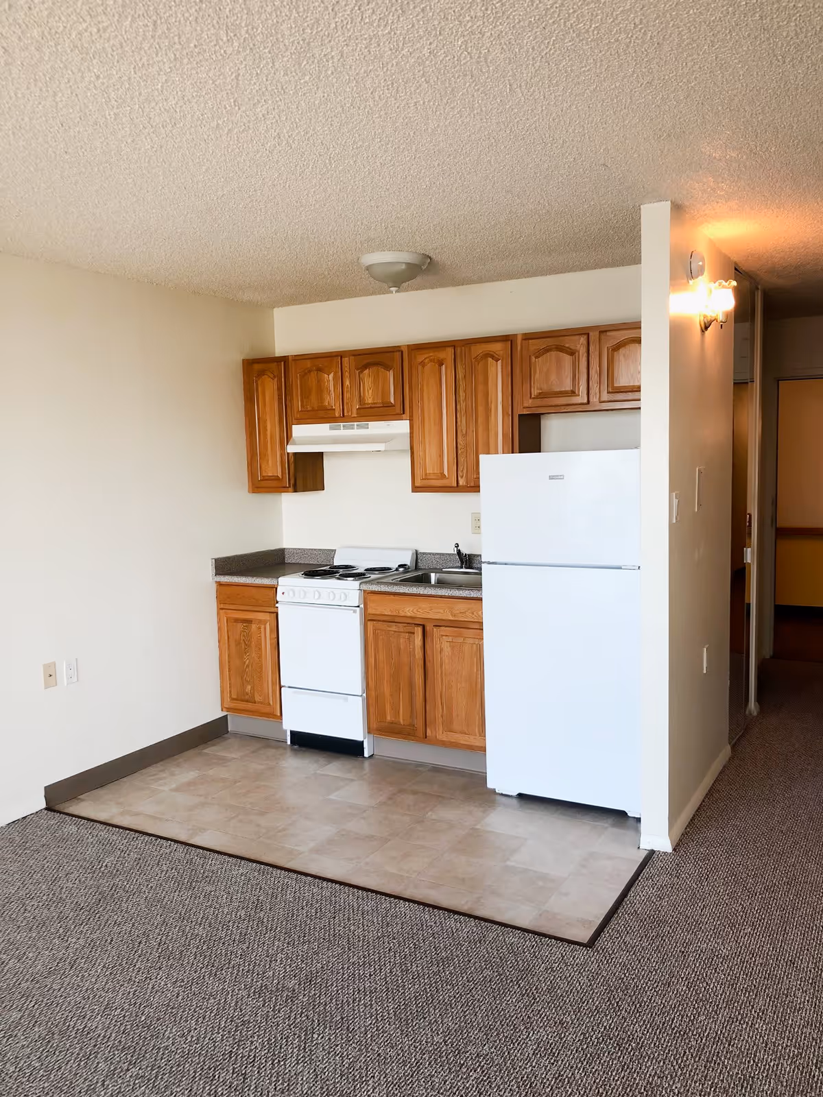Small studio-style kitchen with wooden cabinets, a white refrigerator and stove next to a sink opening onto a carpeted living area.