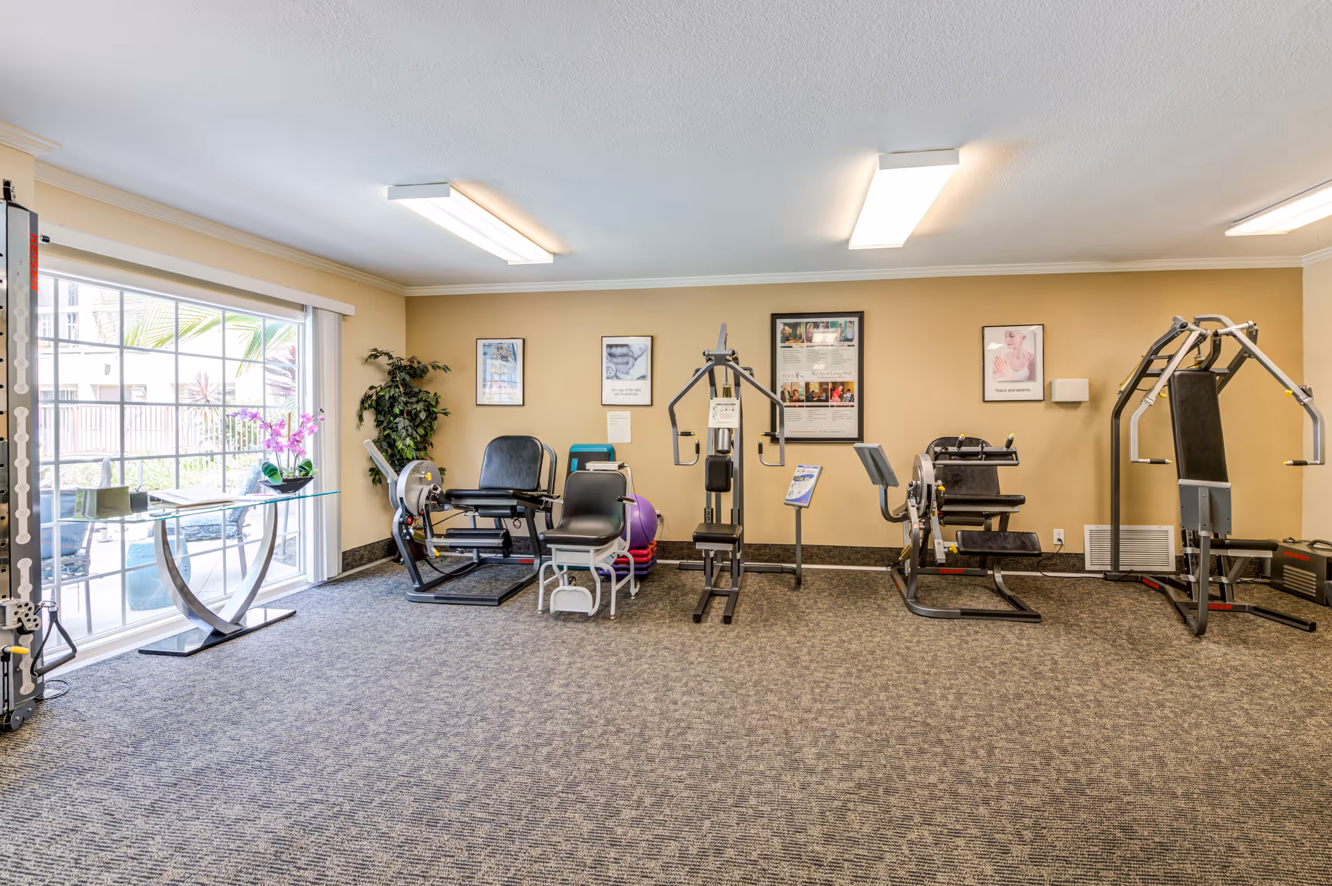 A well-lit exercise room with various fitness equipment including a leg press machine, a multi-functional weight machine, and other workout apparatus. The room has beige walls, carpeted floor, and a large window with vertical blinds letting in natural light. There is a small table with a purple orchid and a green plant in the corner. Several framed posters are hung on the wall.
