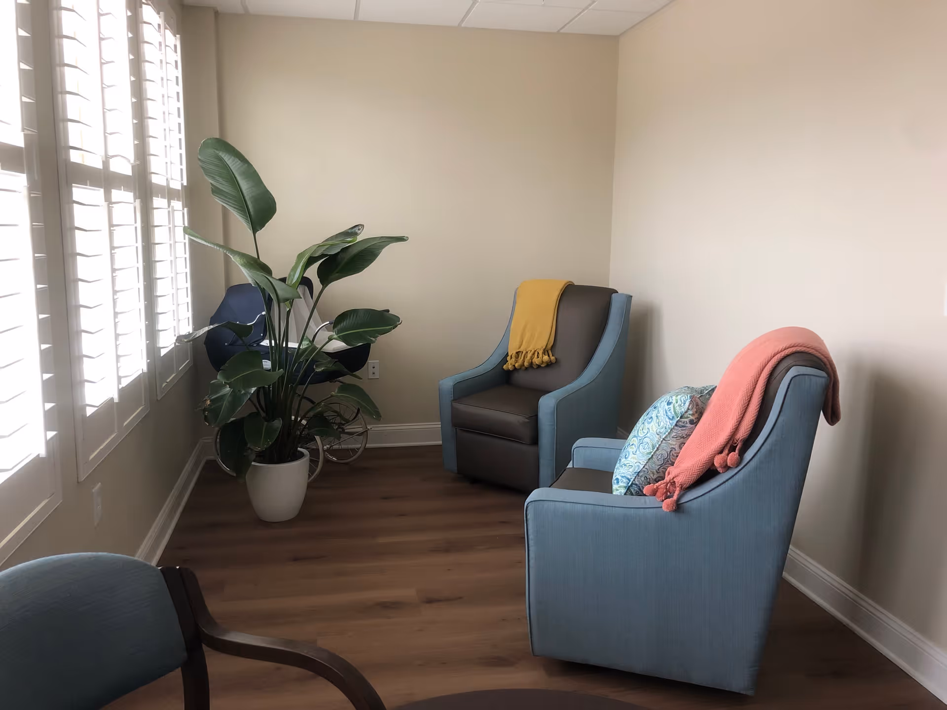 A cozy sitting area with two blue armchairs, each draped with a colorful throw blanket, and a decorative pillow on one chair. There is a large green potted plant near the window with white shutters, and a small black chair with metal legs is partially visible behind the plant. The room has light beige walls and wooden flooring.