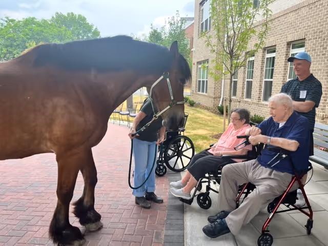 A large brown horse stands on a brick patio outside a senior living facility, interacting with two elderly people seated in wheelchairs and a man standing behind them. The setting is outdoors next to a brick building with windows and small trees.