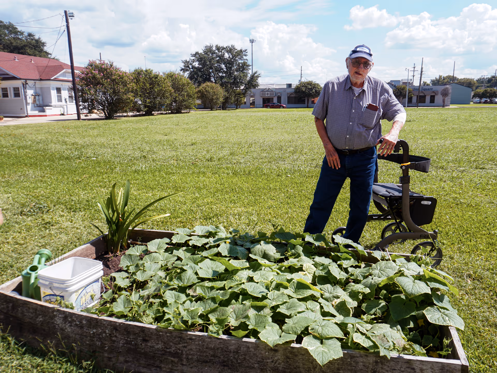 An elderly man standing outdoors next to a raised garden bed filled with green plants. He is wearing a cap, glasses, a checkered shirt, and jeans, and is leaning on a walker. The background shows a grassy field, some bushes, and buildings under a partly cloudy sky.