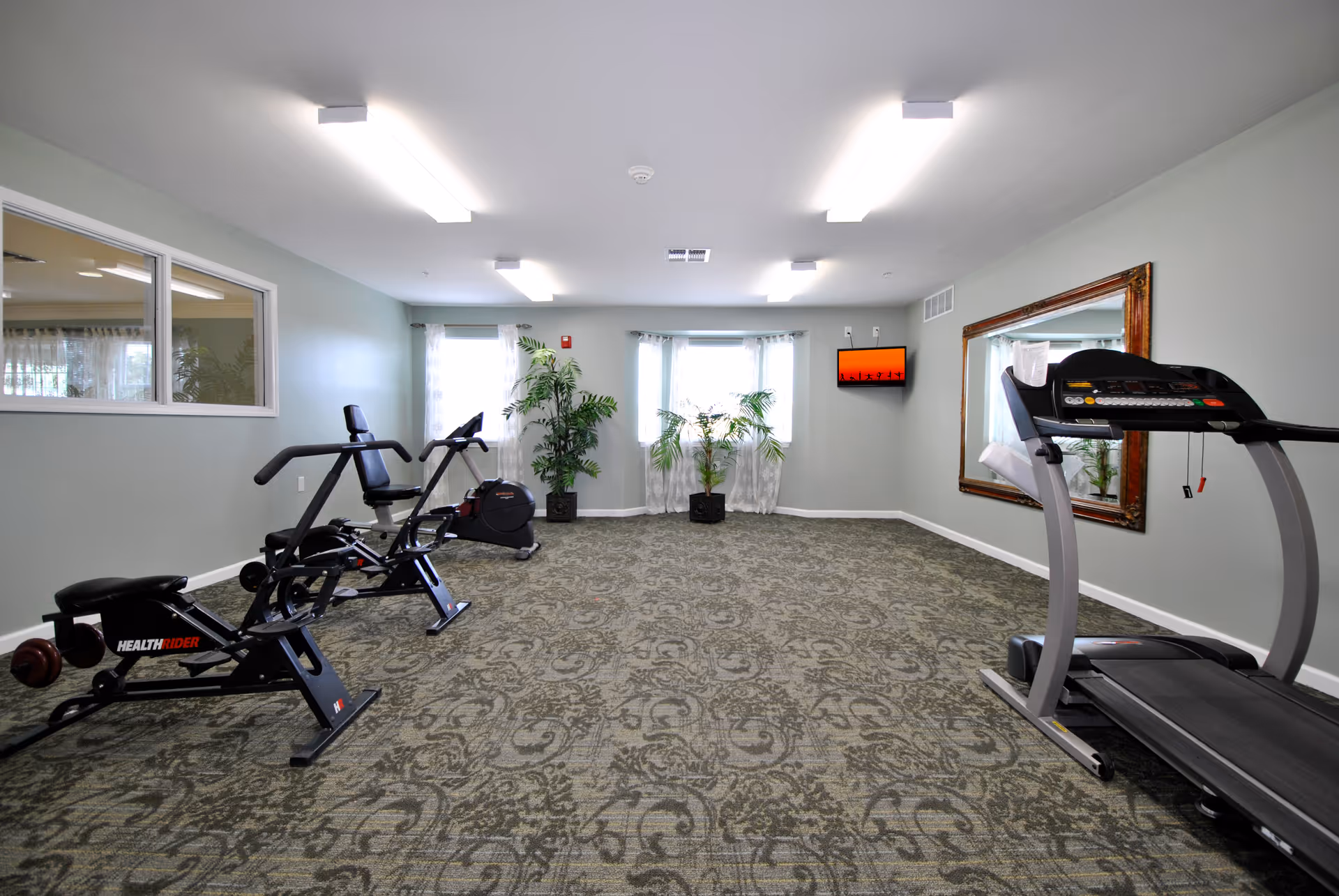 A fitness room with exercise equipment including a treadmill, a recumbent bike, and a rowing machine. The room has patterned carpet, light gray walls, two windows with sheer curtains, two potted plants, a large wall mirror, and a small wall-mounted TV displaying an orange screen.