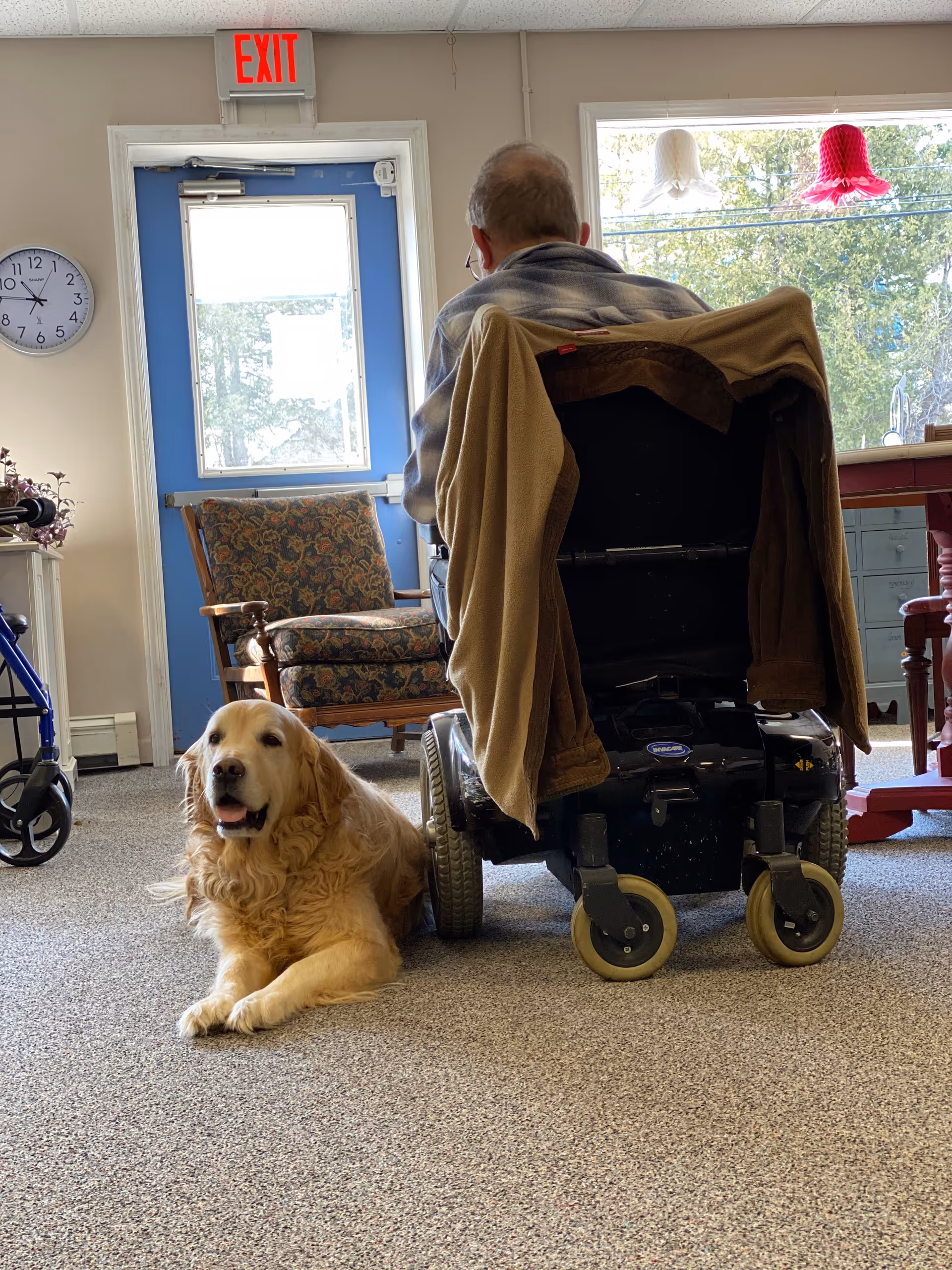 A person in a motorized wheelchair sits in a common room near a window while a golden retriever lies on the carpet beside them.