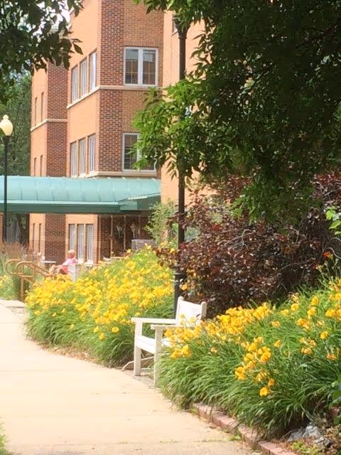 Sidewalk leading to the entrance of a brick building with a green awning. The walkway is bordered by lush yellow flowers and greenery, with a white bench on the right side. Trees provide shade over the path.