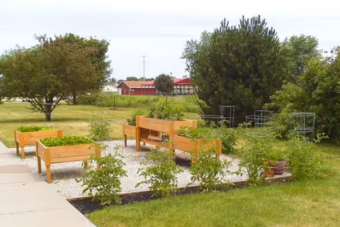 Outdoor garden area with raised wooden planter boxes containing various plants and vegetables, surrounded by green grass, trees, and bushes under a cloudy sky.