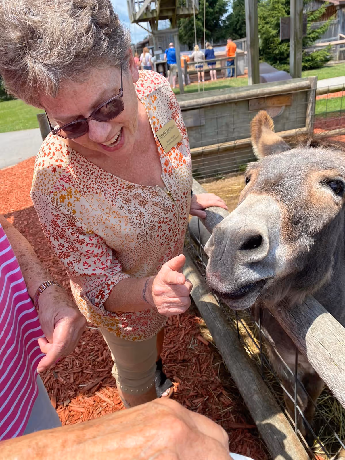 An elderly woman wearing sunglasses and a patterned blouse interacts happily with a donkey over a wooden fence outdoors, with other people and a wooden structure visible in the background.