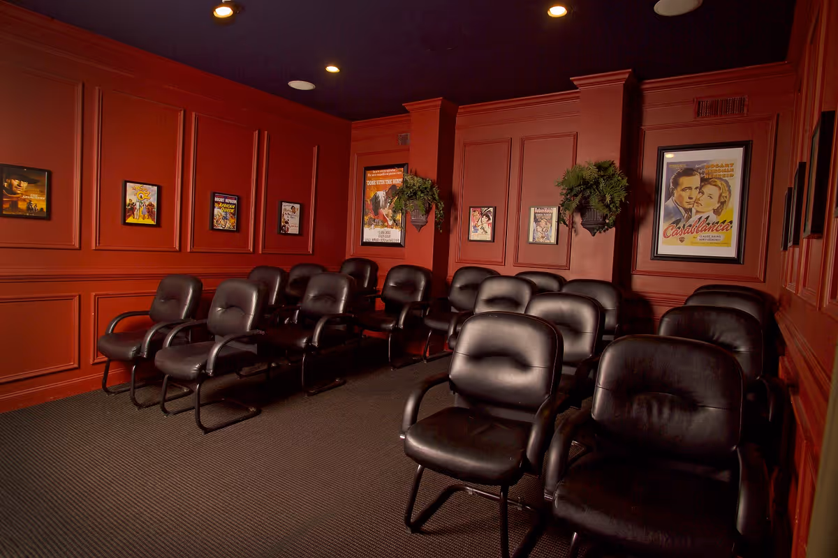 A small theater room with multiple rows of black leather chairs arranged facing forward. The walls are painted dark red and decorated with framed classic movie posters and two hanging green plants. The room has a cozy, intimate atmosphere with recessed lighting in the ceiling.