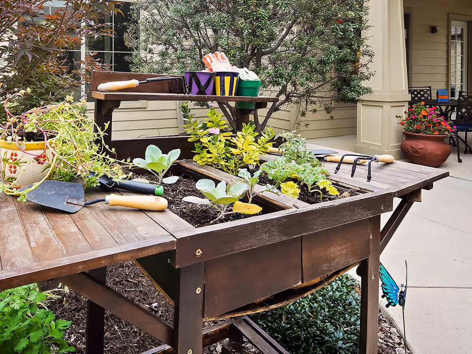 A wooden raised planter table with seedlings, gardening tools, and potted pots on a courtyard patio in front of a building.