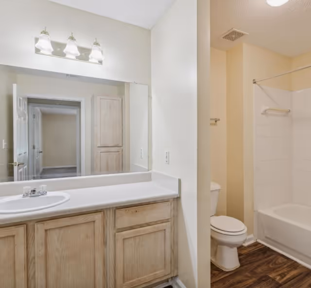 A bathroom with a vanity and sink, large mirror, toilet, and a bathtub with shower.