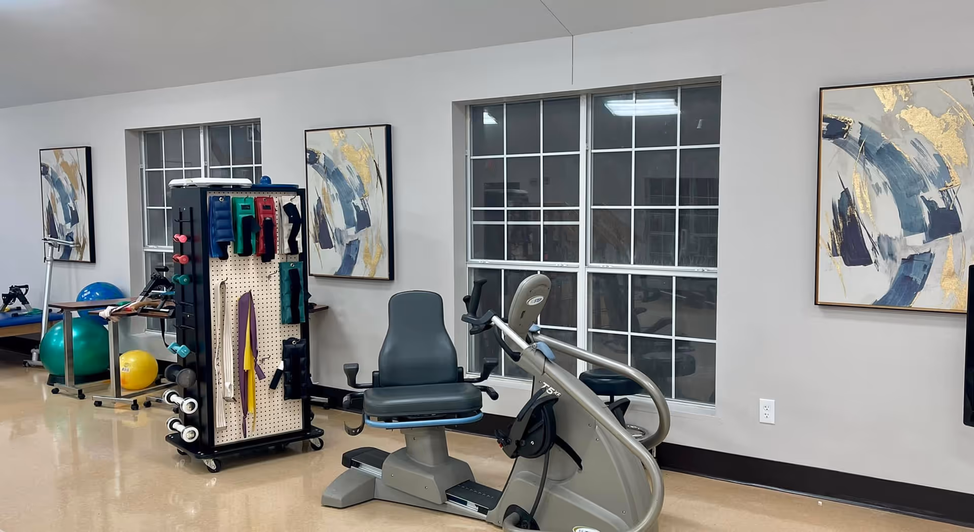 A rehabilitation/exercise room with a recumbent exercise bike, a cart of therapy equipment and exercise balls in front of windows and framed abstract art.