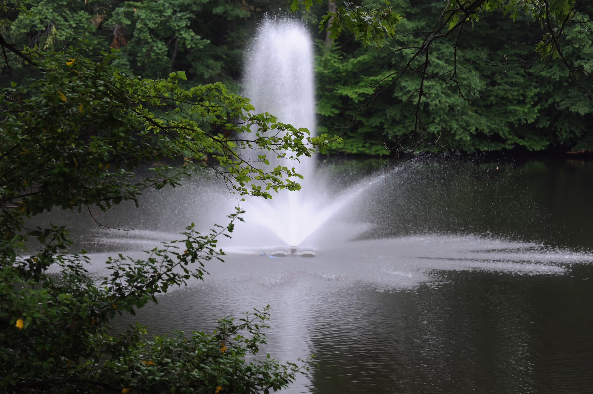 A large water fountain sprays in the middle of a wooded pond framed by overhanging tree branches.