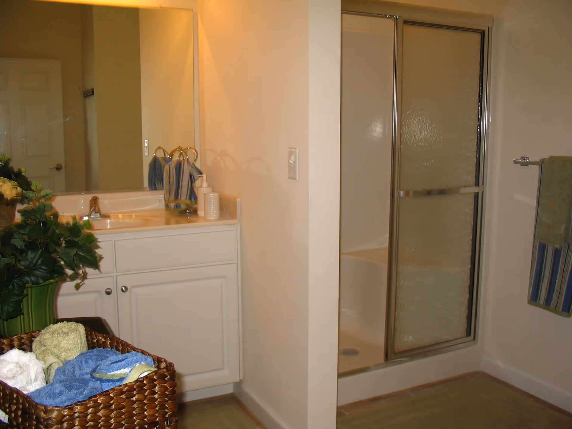 Bathroom with a white vanity cabinet, a sink with a faucet, a large mirror above the sink, a glass-enclosed shower with sliding doors, a towel rack with towels, and a basket filled with rolled towels and a green plant on the counter.