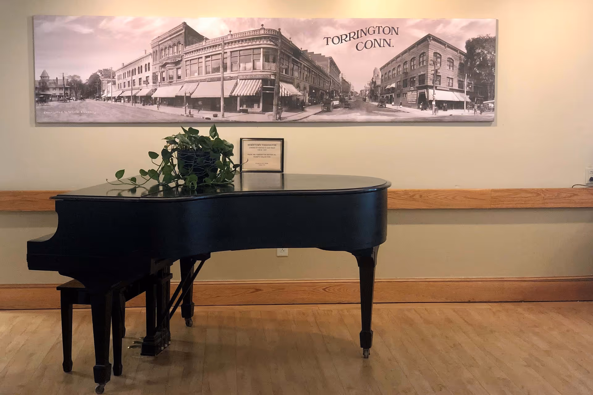 A black grand piano with a green leafy plant on top is placed in a room with light-colored wooden flooring and beige walls. Above the piano, there is a large black and white panoramic photograph of a street scene labeled 'TORRINGTON CONN.'