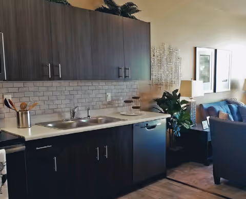 Small open kitchen with dark cabinets, a sink and dishwasher, subway tile backsplash and a view into a living area with a couch and plants.