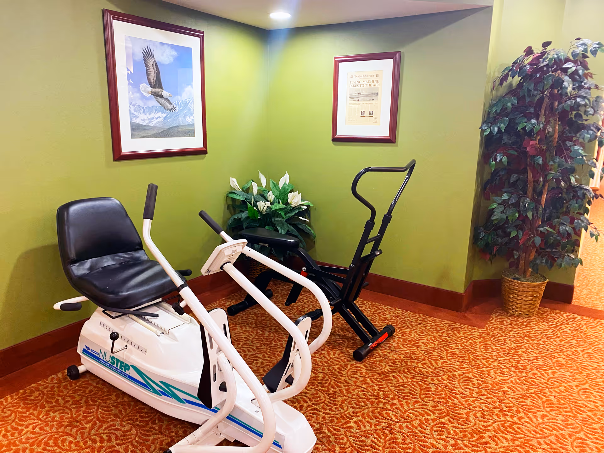 A small exercise area with two pieces of fitness equipment on an orange patterned carpet. The walls are painted green and decorated with two framed pictures, one of an eagle in flight and the other a newspaper article. There are two potted plants placed in the corners of the room.