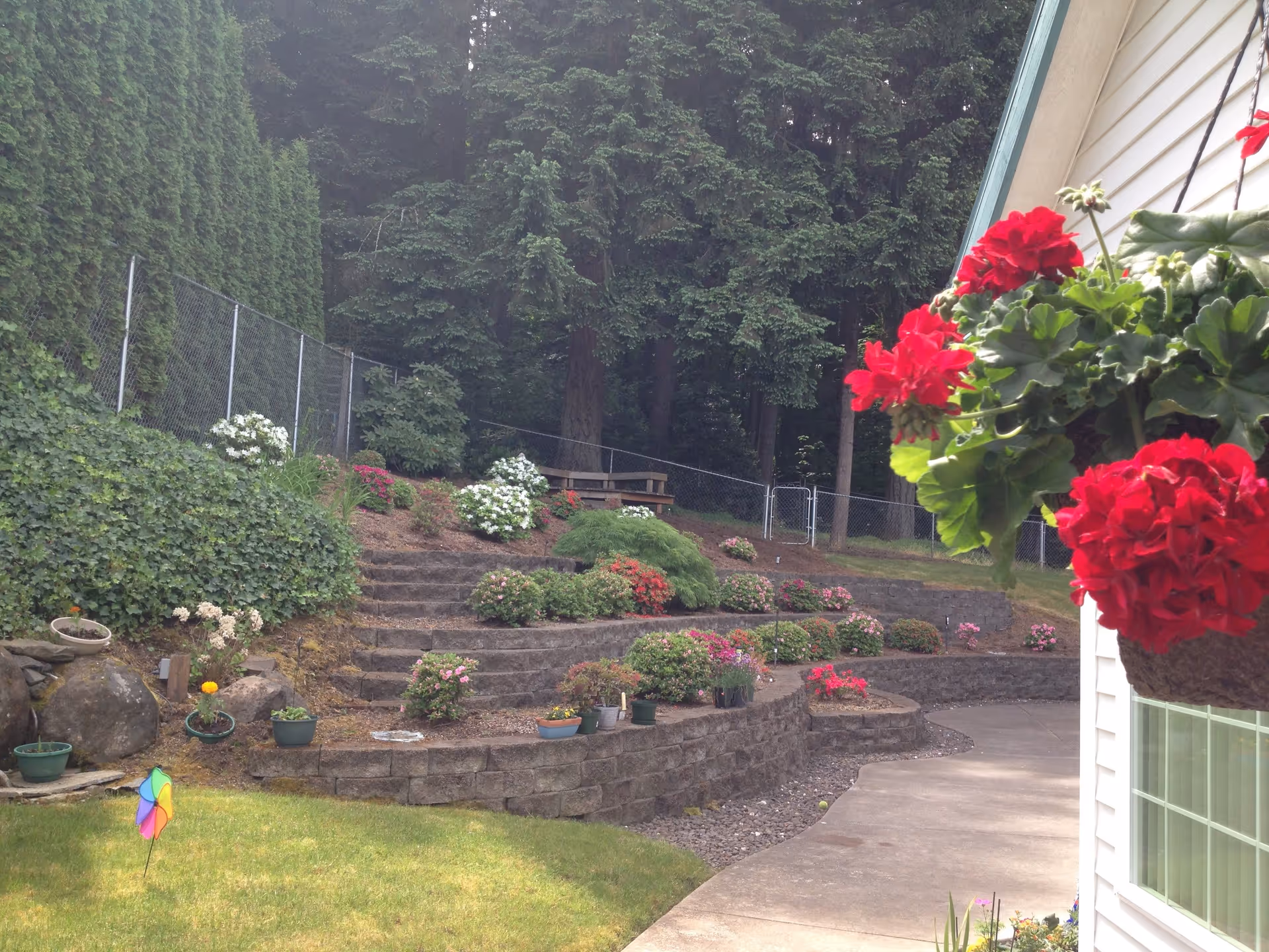 A landscaped outdoor garden area with tiered stone retaining walls and various flowering bushes and plants. There is a concrete pathway curving along the right side next to a white building with a hanging basket of bright red flowers. Tall trees and a chain-link fence are visible in the background.