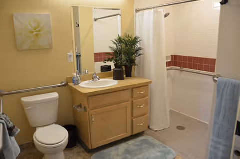 A clean and accessible bathroom with a toilet, a wooden vanity with a sink, a mirror above the sink, a potted plant on the vanity, a shower area with a white curtain and grab bars, and a blue bath mat on the floor.