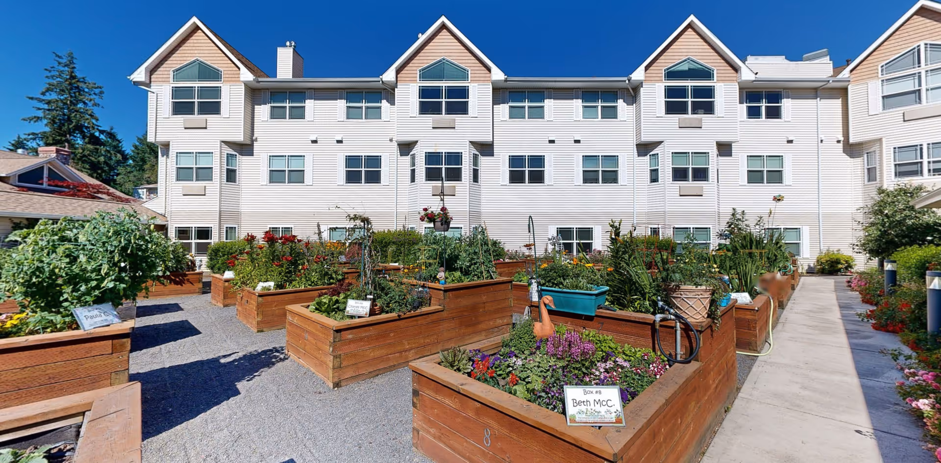 Outdoor garden area with multiple raised wooden planter boxes filled with various plants and flowers, situated in front of a multi-story white building under a clear blue sky.
