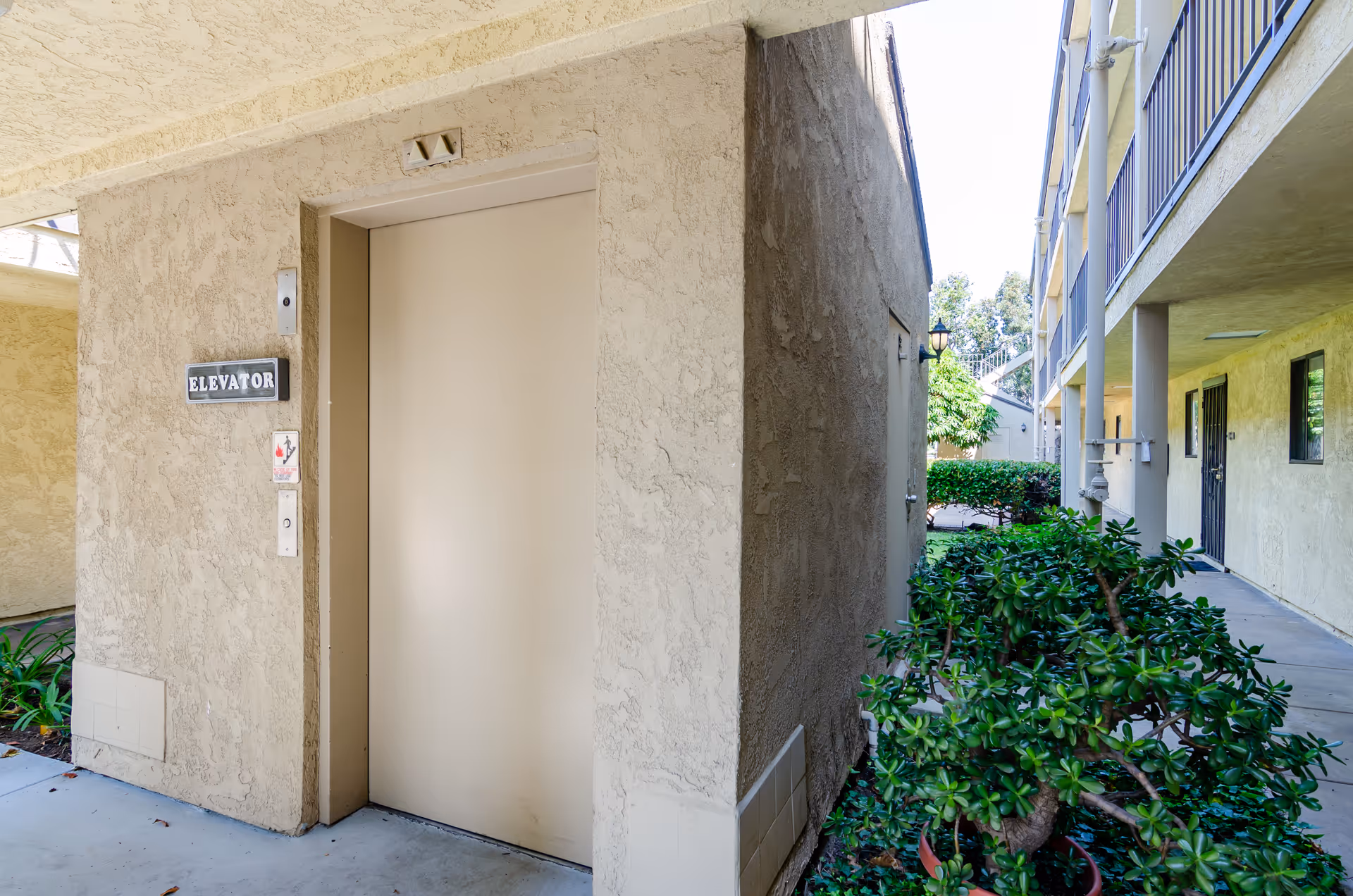 Outdoor view of a beige elevator door set into a textured wall at Canterbury Court Senior Apartments, with a sign labeled 'ELEVATOR' next to the door. The area is surrounded by green bushes and plants, with a walkway and building exterior visible in the background.