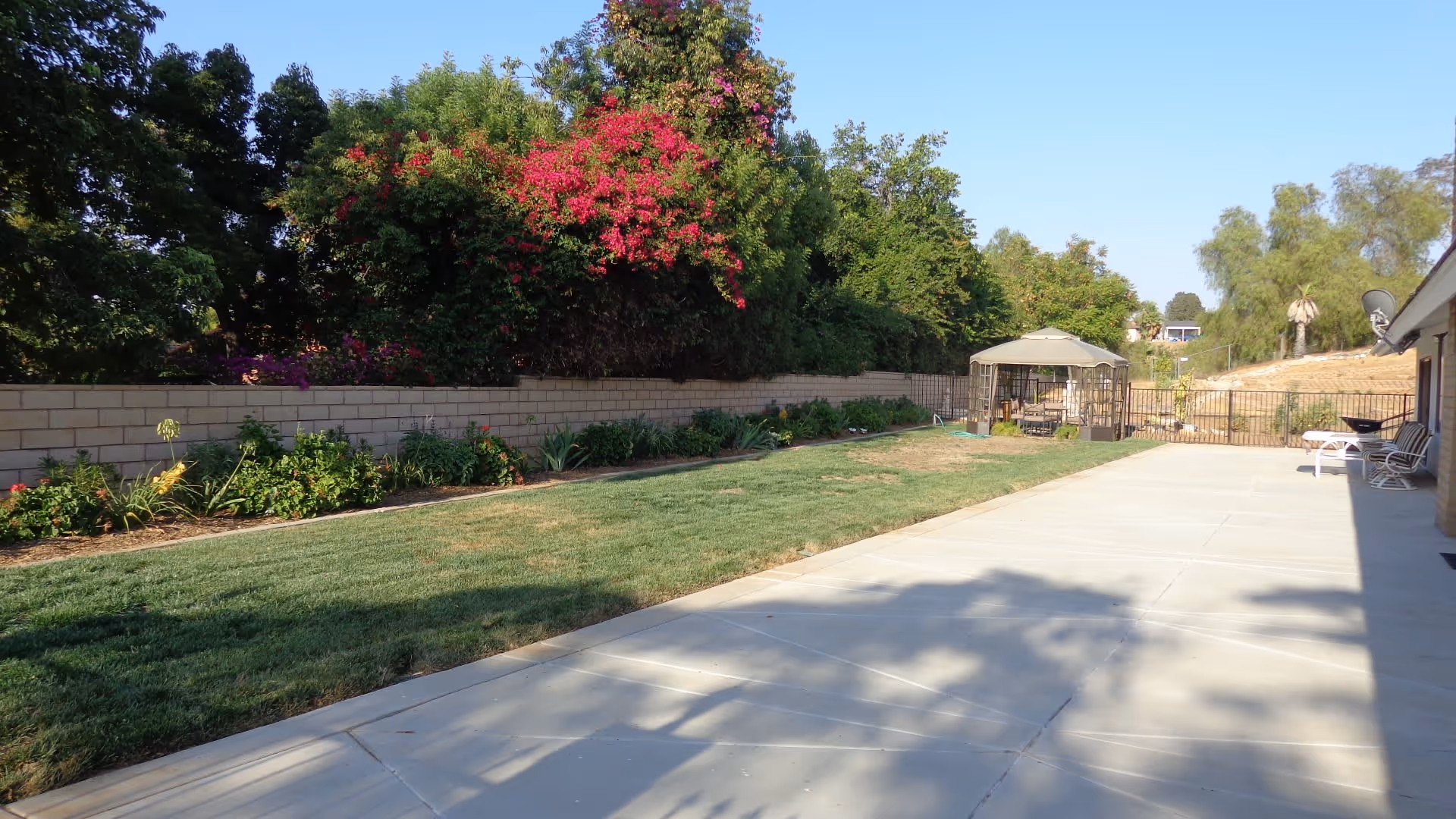 Outdoor area with a concrete patio and a grassy lawn bordered by a low brick wall and various plants. There is a gazebo with seating in the background and some chairs along the side of a building on the right. Trees and shrubs surround the area under a clear blue sky.