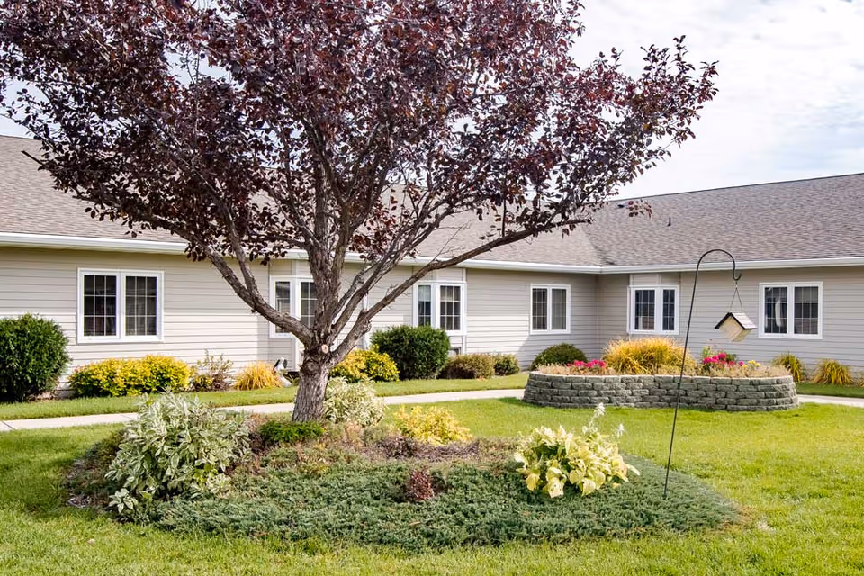 Courtyard with a large tree, landscaped beds and a bird feeder in front of a single-story residential building.
