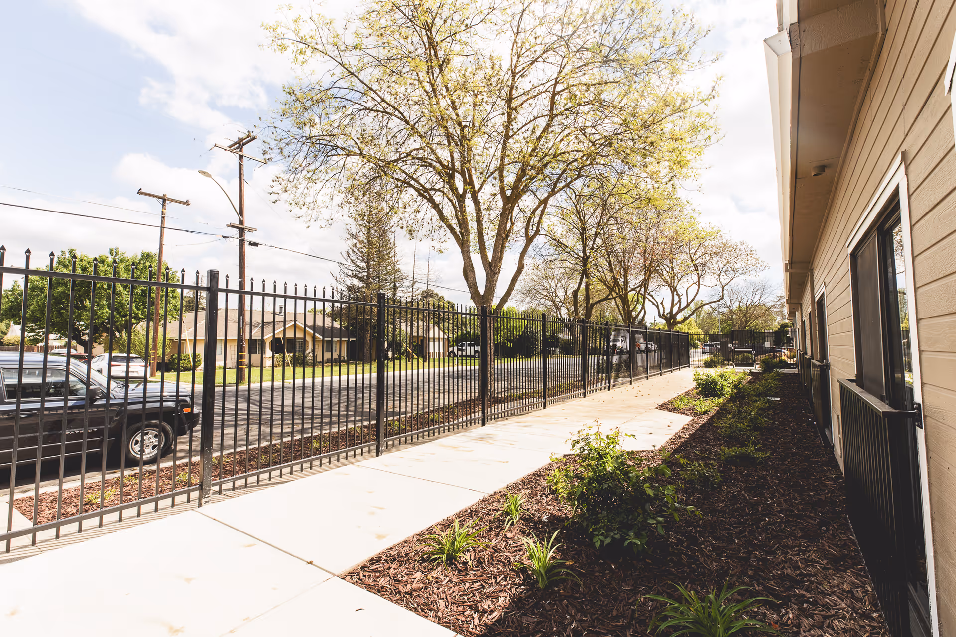 Outdoor walkway alongside a building with a black metal fence separating it from the street. Trees with budding leaves line the sidewalk, and there are small plants and mulch beds next to the building. Several parked cars and houses are visible across the street under a partly cloudy sky.