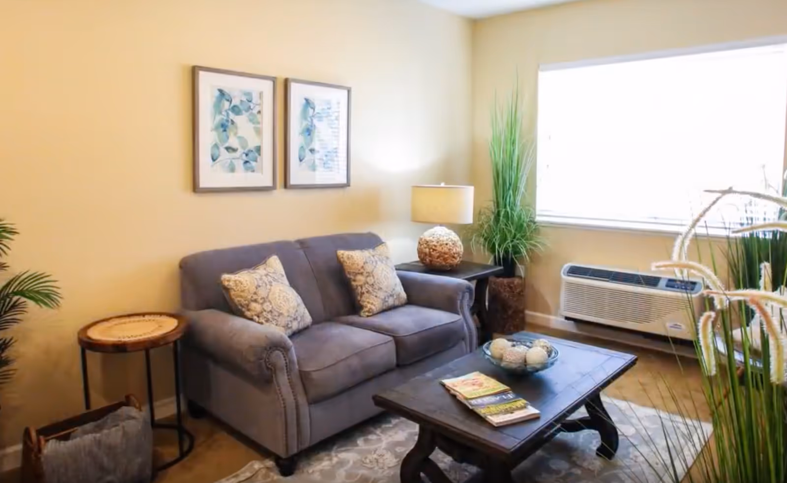 Cozy living room with a gray loveseat, coffee table, side tables, lamp, plants, and a window air conditioner.
