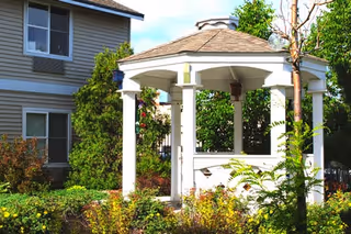 White wooden gazebo surrounded by shrubs and flowering plants in a landscaped courtyard beside a residential building.