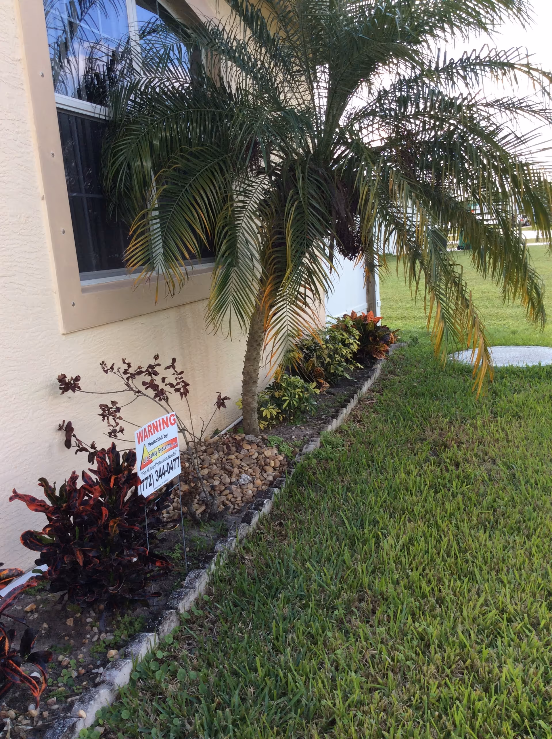 Palm tree and small landscaped flowerbed with a warning sign along the exterior wall of a house and a grassy lawn.