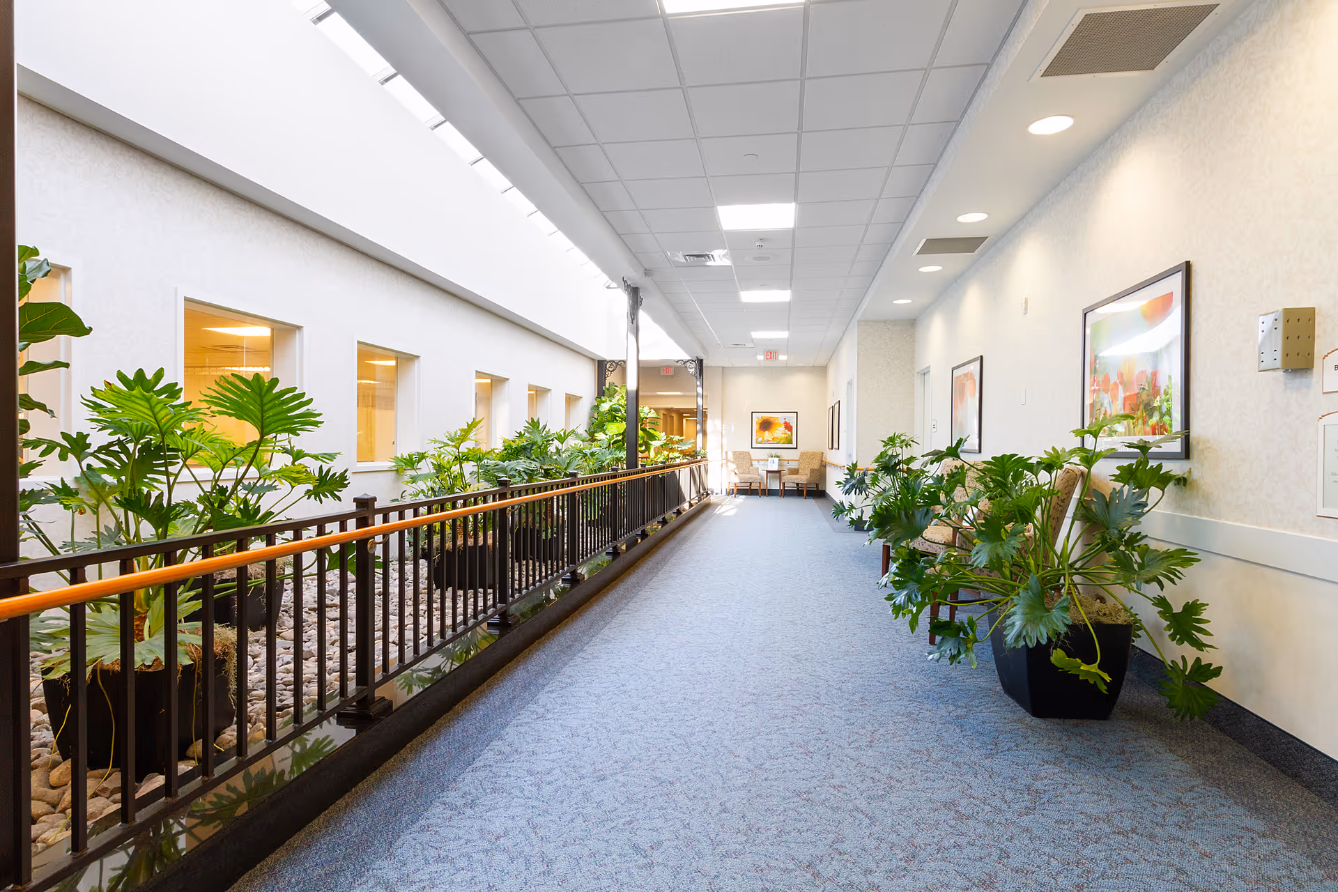 A bright indoor hallway in a senior living facility with a blue carpet, potted green plants along the right side, and a railing with more plants on the left side. The hallway has a white ceiling with recessed lighting and framed artwork on the walls. At the far end, there is a small seating area with chairs and a table.