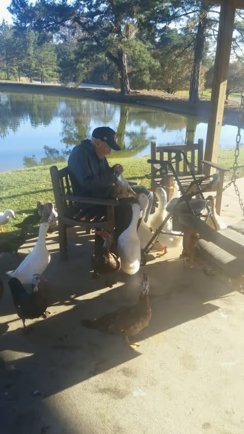 An elderly man sitting on a wooden bench under a covered patio near a pond, surrounded by several ducks and geese. The scene is outdoors with trees and grass visible in the background.