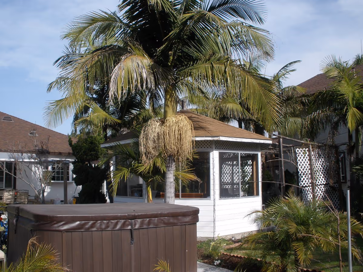 Outdoor view of a senior living facility with a brown hot tub in the foreground, palm trees, and a white gazebo-like structure with windows. Surrounding buildings with brown roofs and white walls are visible in the background under a partly cloudy sky.
