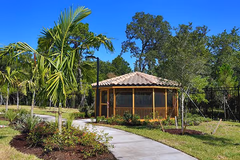 A small gazebo with a tiled roof and screened windows situated in a landscaped garden area with a concrete pathway leading to it. Surrounding the gazebo are various plants, including palm trees and other greenery, under a clear blue sky.