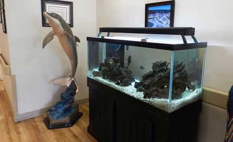A large aquarium on a dark stand beside a dolphin statue in an indoor hallway.