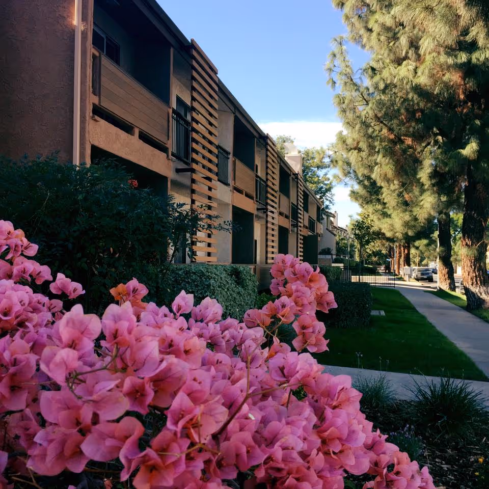 Exterior view of a senior living facility building with balconies, surrounded by green bushes and vibrant pink flowers in the foreground, and tall trees lining a sidewalk under a clear blue sky.